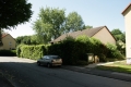 Hecke aussen 2