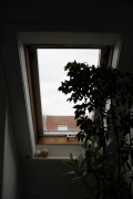 Dachfenster1