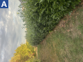 Hecke